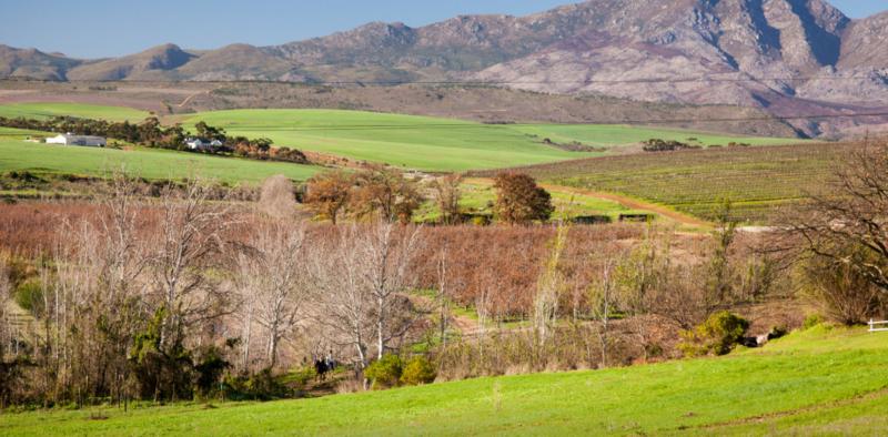 0 Bedroom Property for Sale in Bot River Western Cape